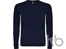 Свитшот «Annapurna» мужской