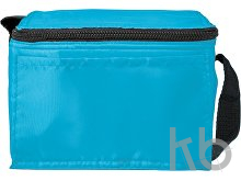 Polyester (210D) cooler bag
