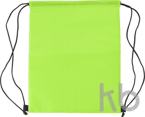 Polyester (210D) cooler bag