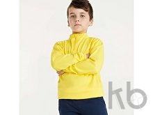 Толстовка с воротом на молнии «Epiro» унисекс