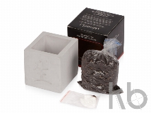 Подарочный набор «Вырасти Бонсай дома. Гранат»