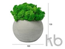 Кашпо бетонное со мхом «Сфера»