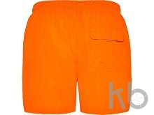 Плавательные шорты «Aqua», мужские