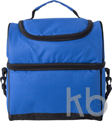 Polyester (600D) cooler bag
