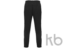 Брюки «Neapolis», мужские