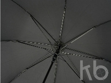 Зонт-трость «Alina»