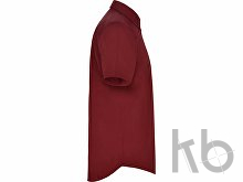 Рубашка «Aifos» мужская с коротким рукавом