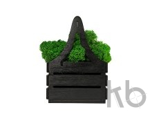 Композиция «Корзинка со мхом»