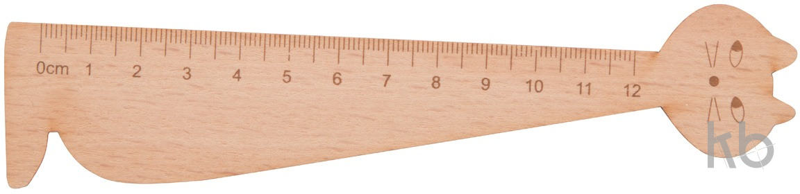 wooden ruler