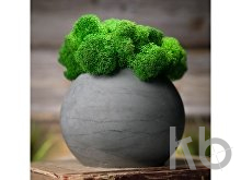 Кашпо бетонное со мхом «Сфера»