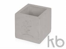 Подарочный набор «Вырасти Бонсай дома. Сосна»