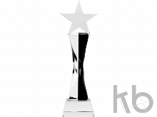 Награда «Звезда»