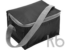 Polyester (420D) cooler bag