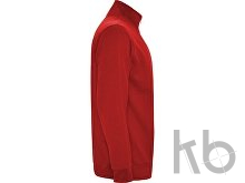 Свитшот «Aneto» мужской