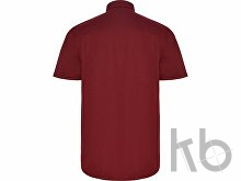 Рубашка «Aifos» мужская с коротким рукавом