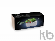 Компактный смарт-сад «iGarden»