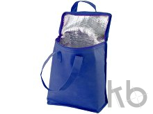 cooler bag
