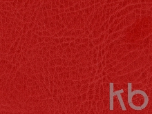 Ежедневник недатированный А5 «Vivid Flex AR»