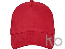 Бейсболка «Doyle»