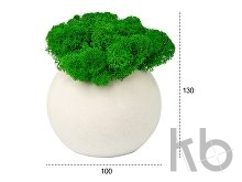 Кашпо бетонное со мхом «Сфера»