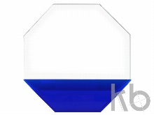 Награда «Octagon»