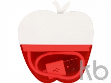 USB Hub «Красное яблоко»