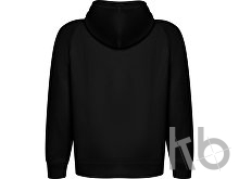 Толстовка с капюшоном «Vinson» унисекс