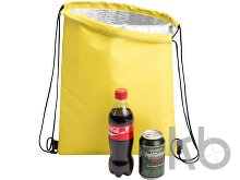 cooler bag