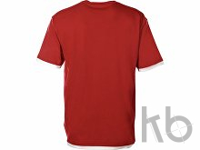 Футболка «Rotterdam» мужская