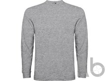 Футболка с длинным рукавом «Pointer» мужская