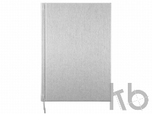 Ежедневник недатированный А5 «Probe AR»