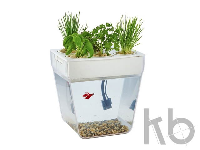 Набор для выращивания растений и ухода за рыбкой «Акваферма»