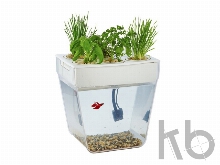 Набор для выращивания растений и ухода за рыбкой «Акваферма»