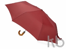 Зонт складной «Cary»