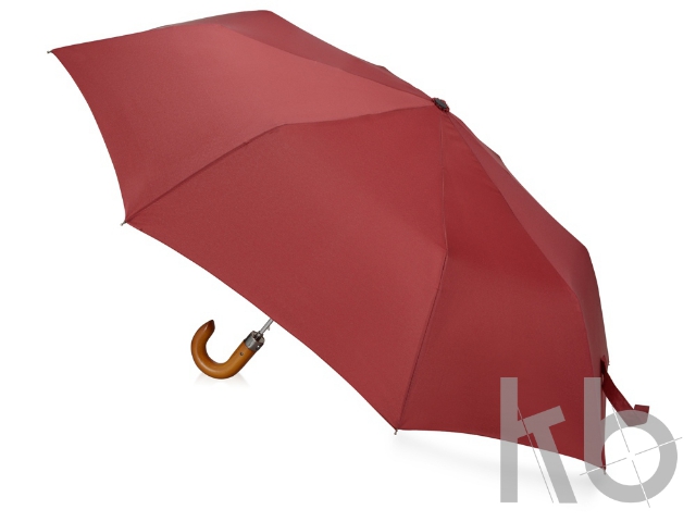 Зонт складной «Cary»