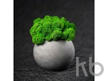 Кашпо бетонное со мхом «Сфера»