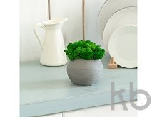 Кашпо бетонное со мхом «Сфера»