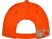 Бейсболка «Doyle»