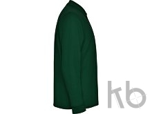 Рубашка поло «Carpe» мужская с длинным рукавом