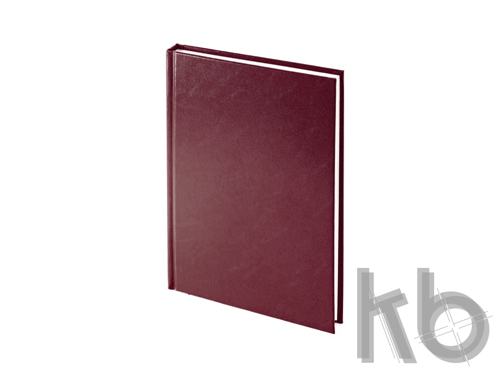 Ежедневник датированный А5 «Ideal New» на 2020 год