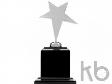 Награда «Звезда»