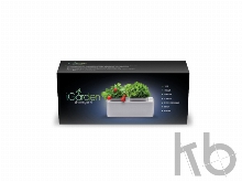 Компактный смарт-сад «iGarden»