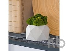 Кашпо бетонное со мхом «Бета»