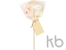 Леденец на палочке «Цукаты»